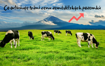 Co ovlivňuje tržní cenu zemědělských pozemků