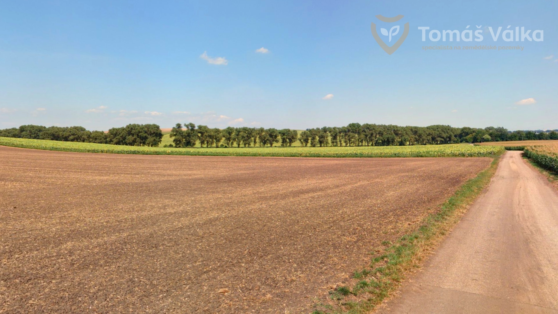 Prodej pole s velmi dobrou bonitou – 1 ha – kú Nikolčice